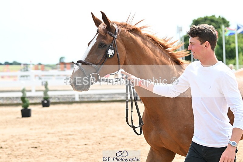 240717A-144303-02235 - Trot Up 2pm to 3pm - This folder is not in time order