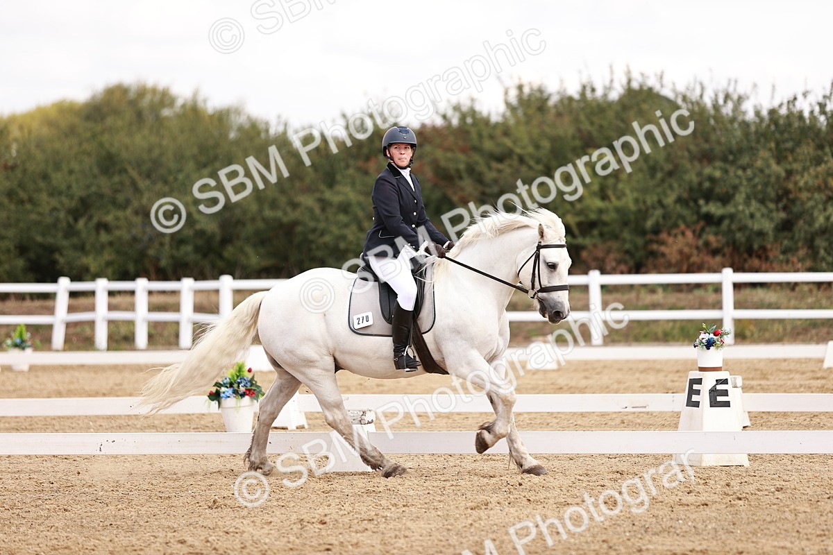 SBM_018021 - Class 15 - Prelim 6