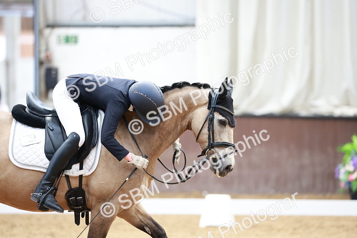 SBM_017242 - Class15 - FEI Pony