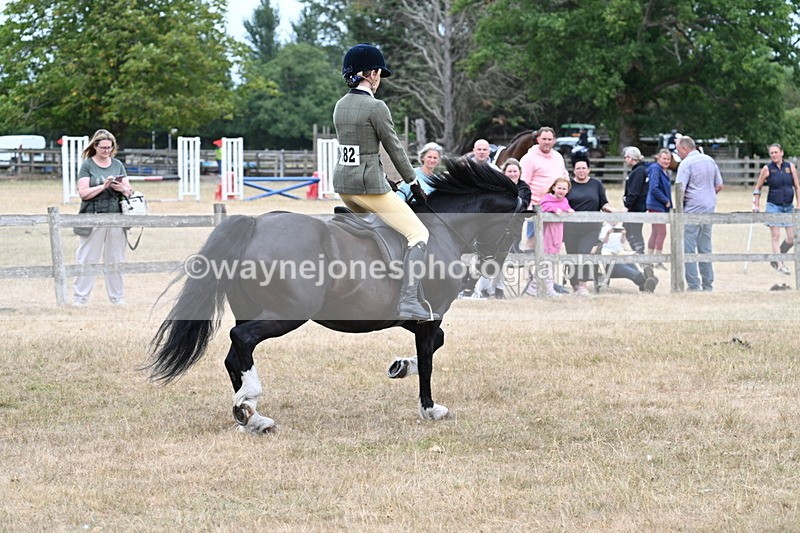 WJ7_0475 - Class 6 Ridden Mountain and Moorland