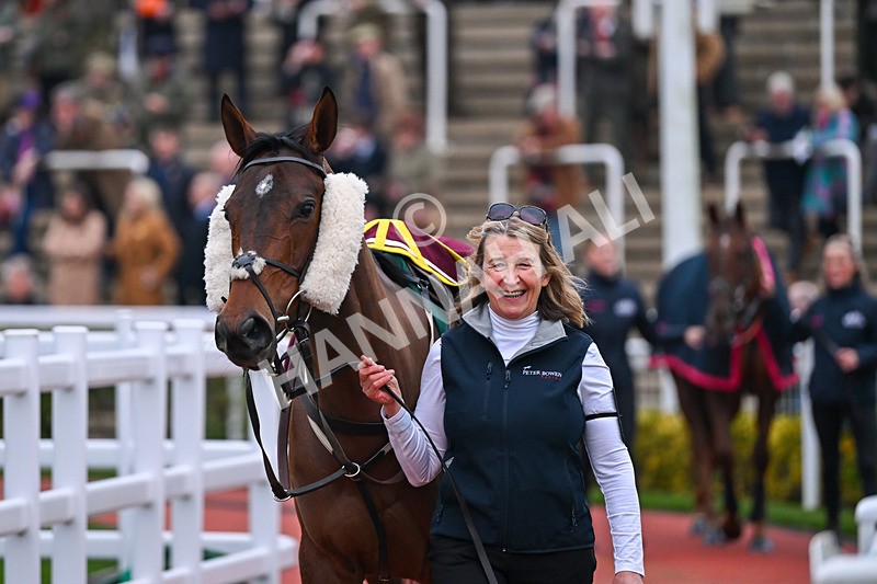 151124-Race 6-Paddock-Letterston Lily-8510 - Race 6