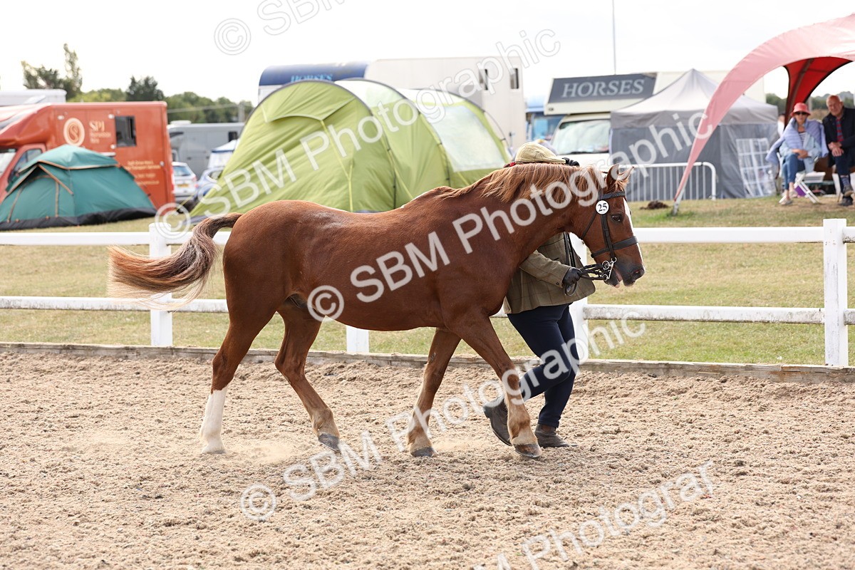 SBM_15093 - Class 209 - IH Veteran Pony