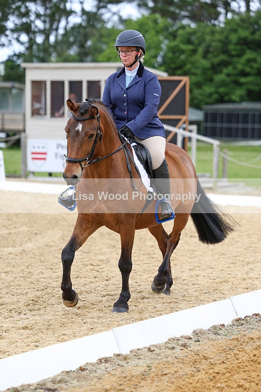 3E7A9524 - Class 2: Intro 1 2024 Section B