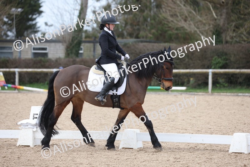 20260301-0942 - Class 6 - Elementary 5