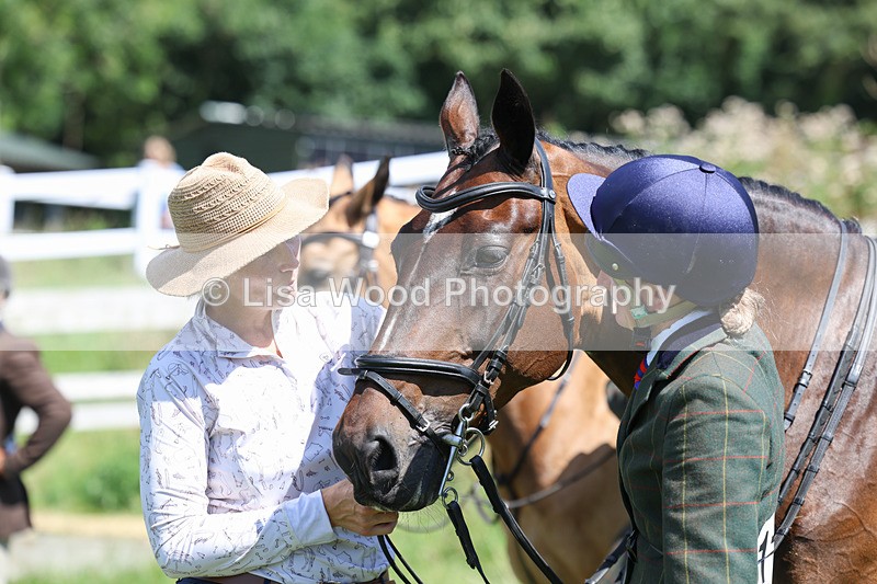 3E7A9023 - Class 6: Open Working Horse