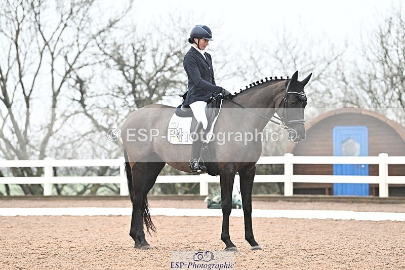 250215-115659-03297 - 165-Elder.Klatzko-Dynasty.Hit