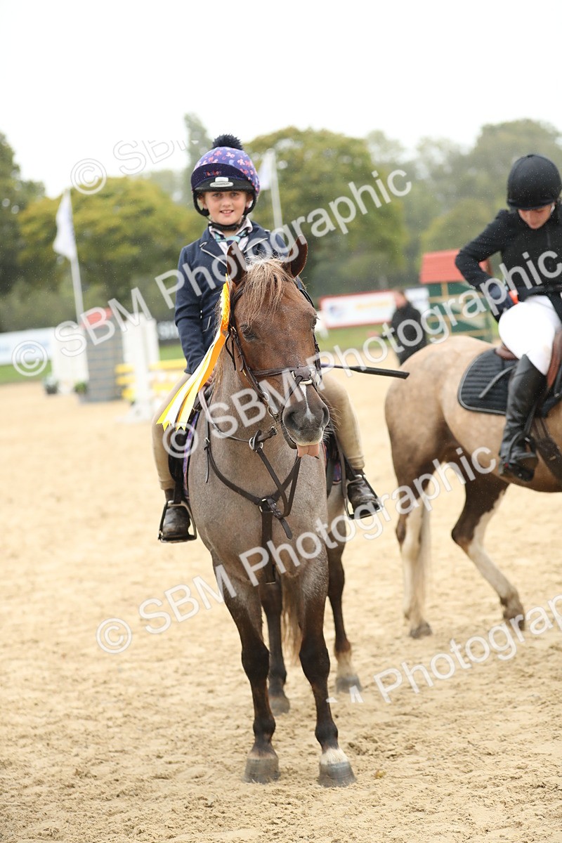 SBM_74109 - J16 - Junior Pony 75cm Championship