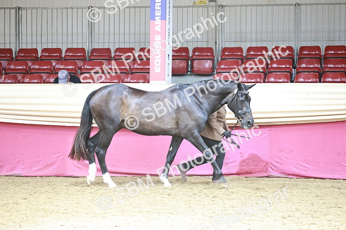 SBM_04712 - Class 7R - Regional IH Diamond