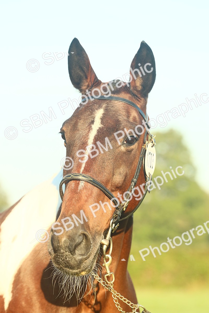 SBM_56596 - S36 - Starters Best Turnout