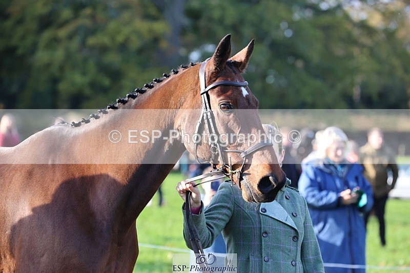 251026A-094952-22514 - D-312-Laura.Sharpe