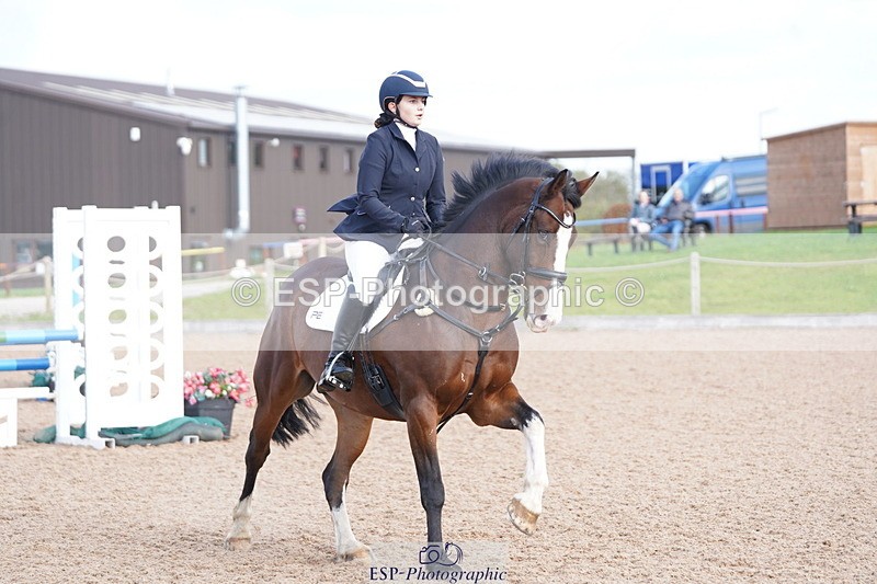 241005A-101704-04433 - SAT Cls 8 Snr British Novice & 90cm Open