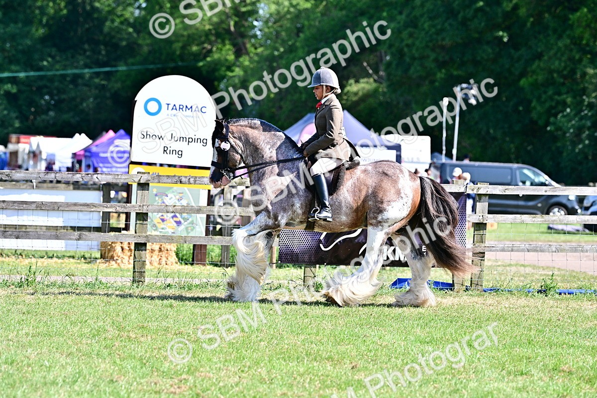 SBM_19432 - Class 101-102 - BSPS LIHS Performance Coloured Horse/Pony