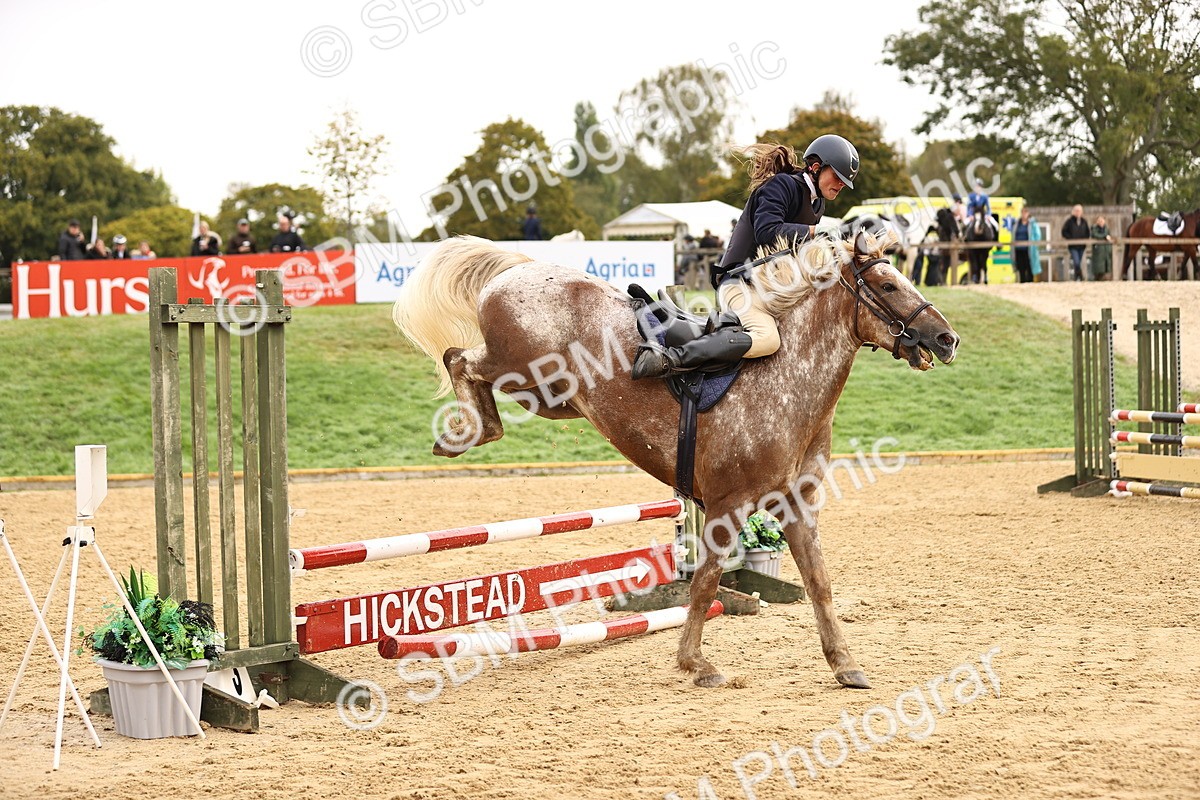 SBM_58411 - J41 - Grand Tour Horse & Pony 95cm