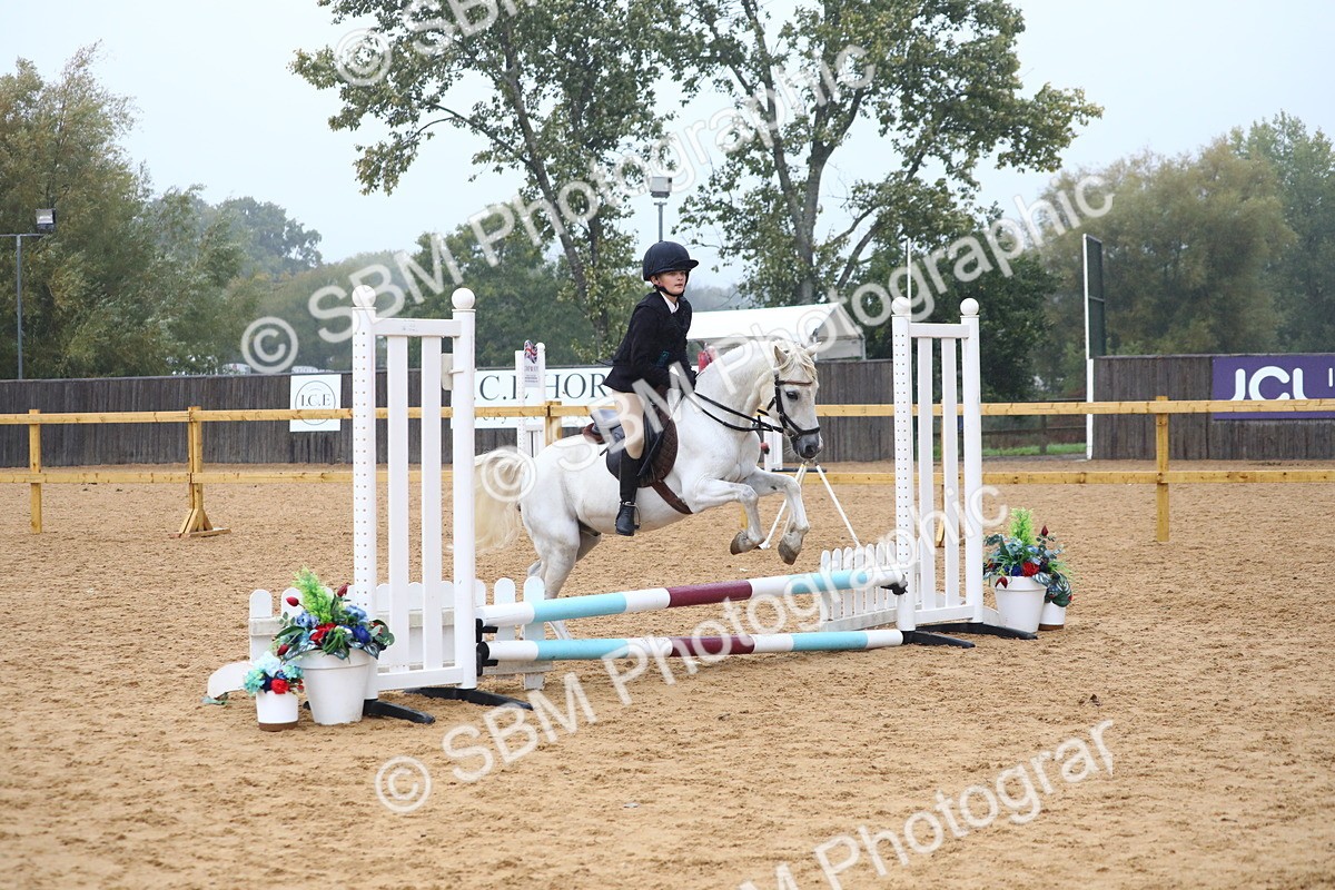 SBM_71672 - J4 - Mini Tour Junior Pony 45cm Championship