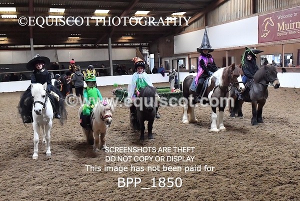 BPP_1850 - CLASS 2 TEAM SJ 40CM