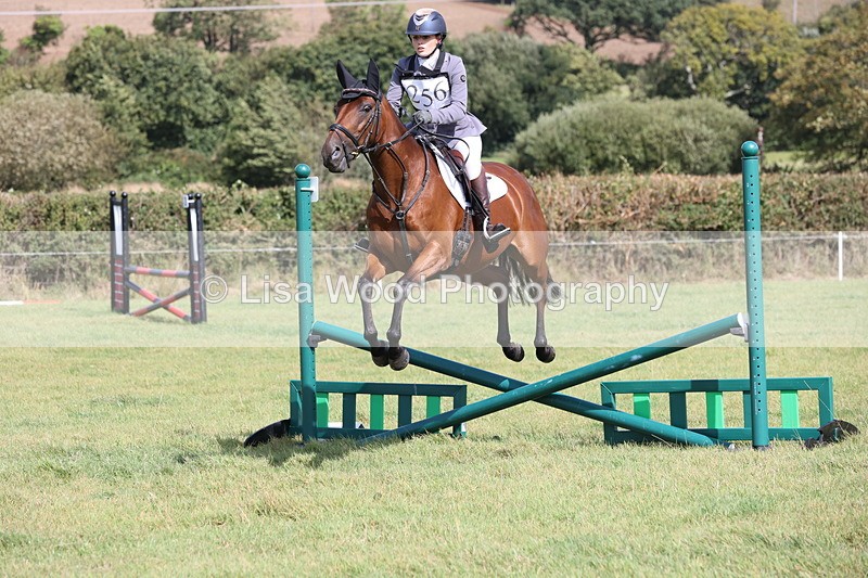 JPP_8737 - Class 2: Trekenning: 80cm Showjumping