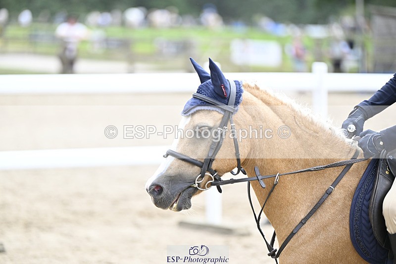 240823X-135620-17878 - 60cm R2 12.30 to 14.40 - All Photos