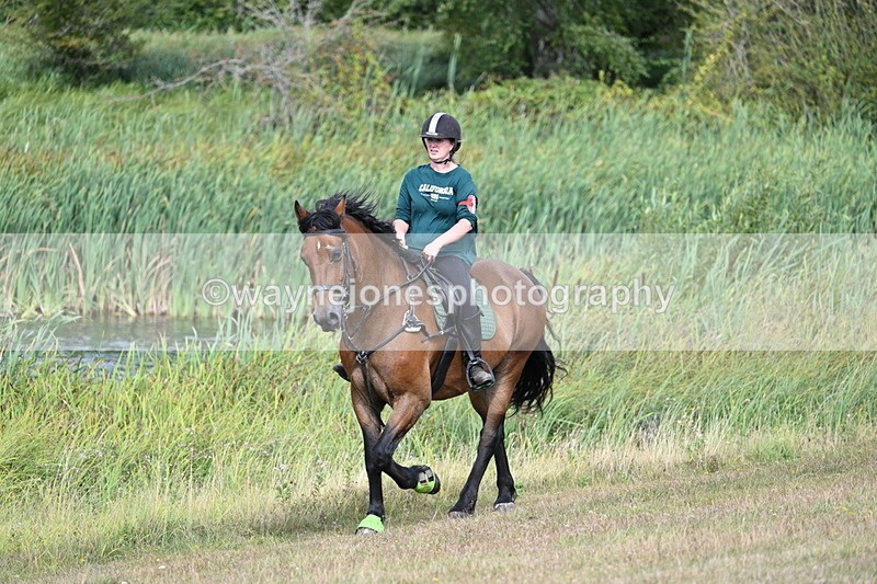 WJ7_4871 - Time 11:17 to 11:22