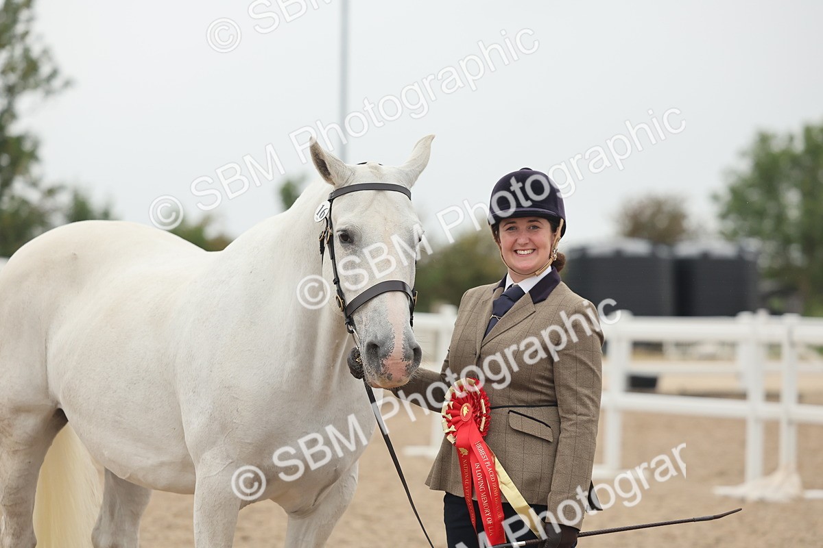 SBM_19461 - Class 317 - IH Pure Bred Horse-Pony