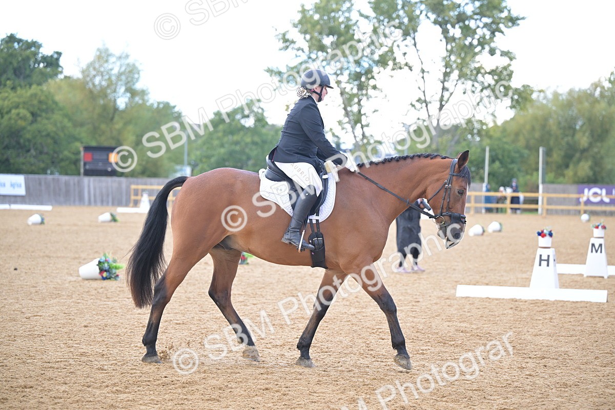 SBM_11248 - D3 - Small Tour Championship Intro 3