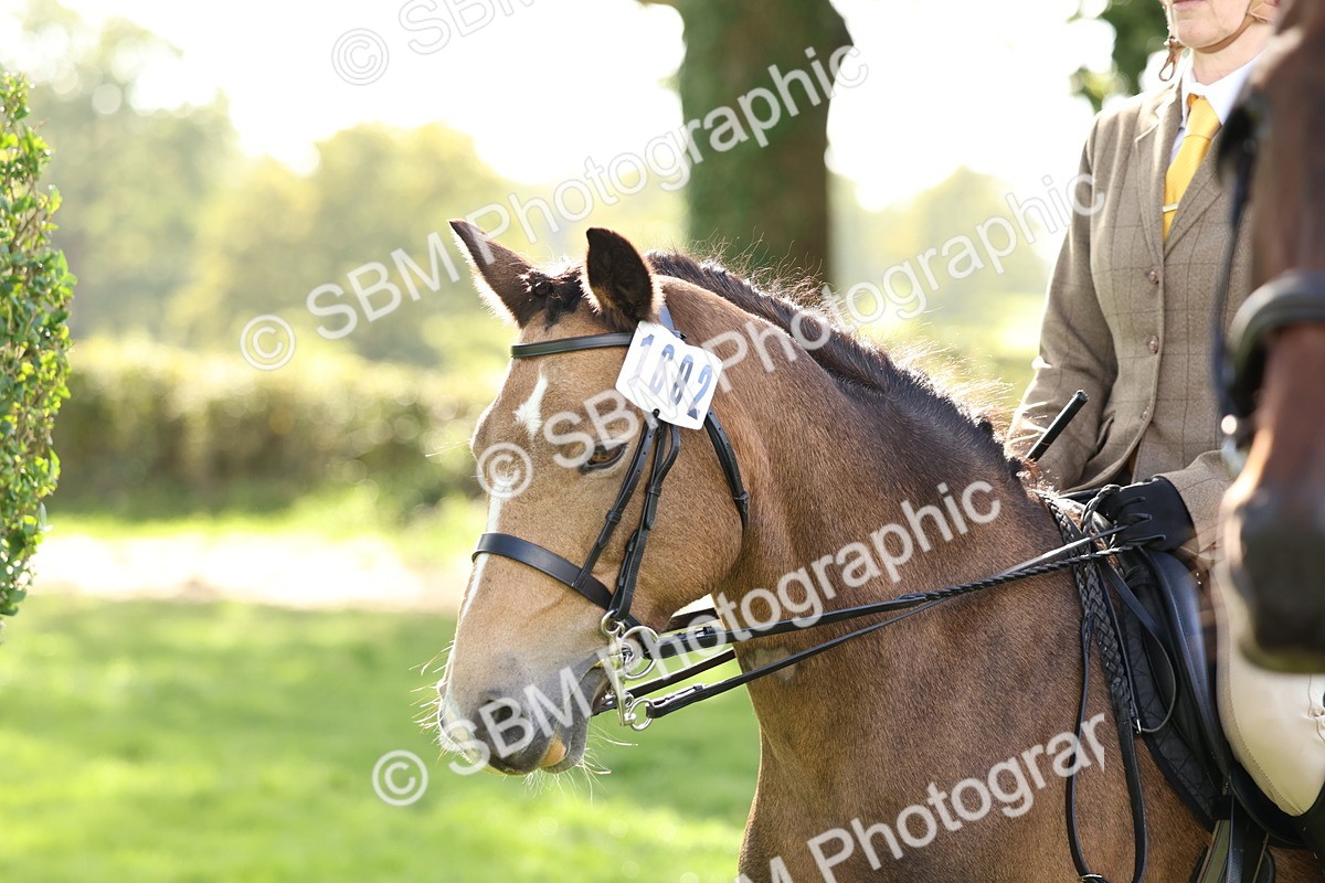 SBM_47815 - S28 - Veteran Ridden