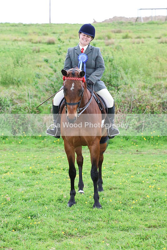 3E7A2043 - Class 10: Ridden Sports Horse