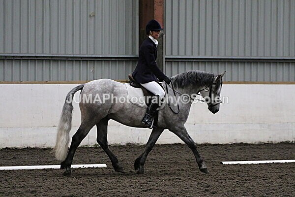 SIAL4008 - CAbin Dressage 5th july 2025