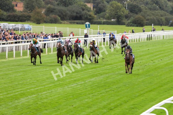 230923-Race 2-Palamon-5225 - Race 2 2.35pm jigsawsportsbranding.co.uk Handicap