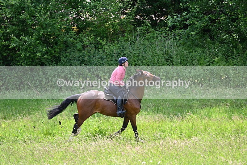 WJ7_8804 - Group 4 11am