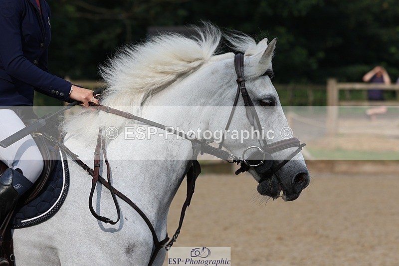 230617-083803-00306 - Cls 08a Pony 1.05