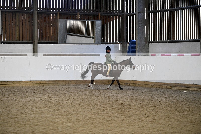 WJ5_6029 - Class 9 Ridden Veteran