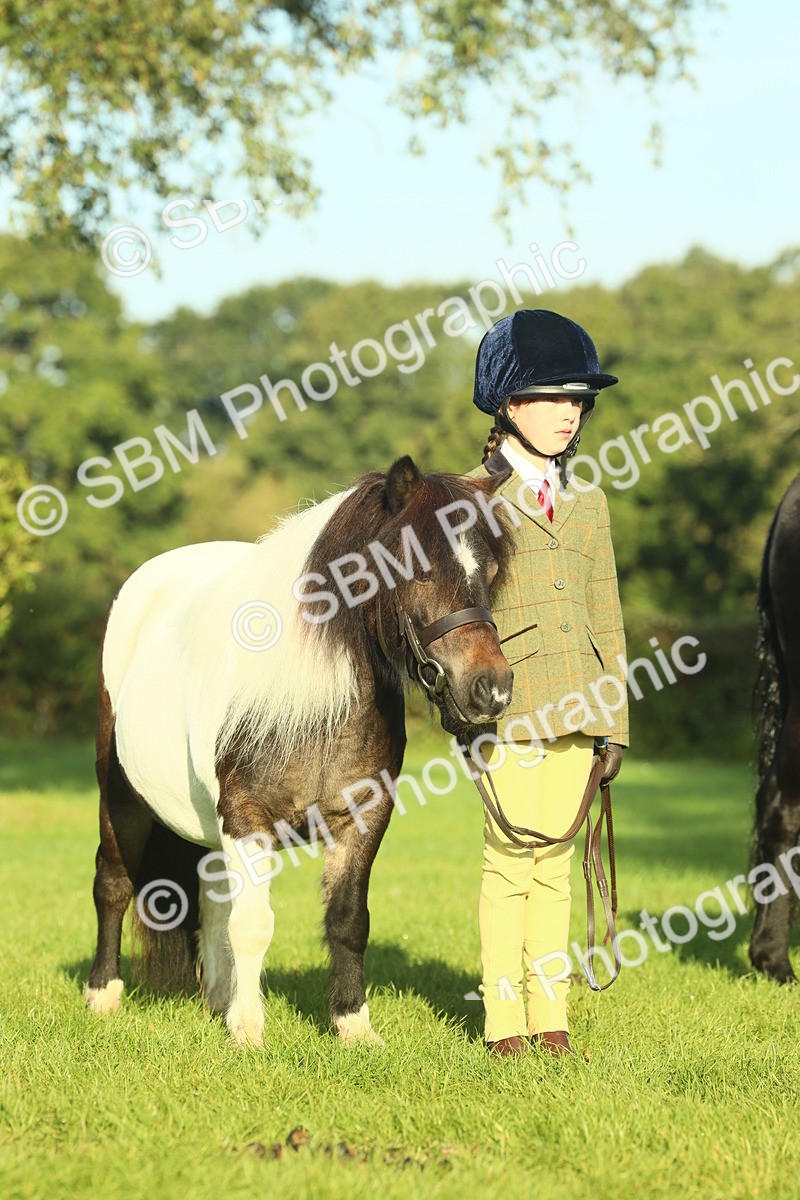 SBM_57448 - S37 - Starters In Hand Showing