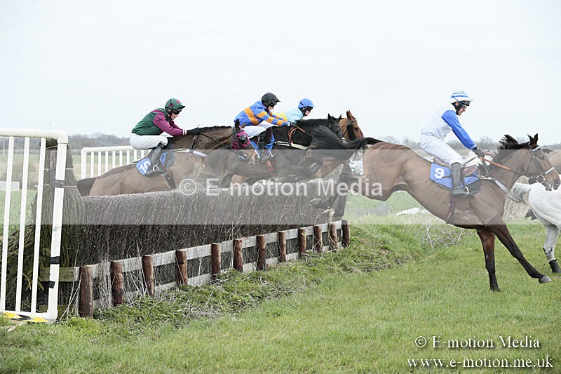 PtP 230319 95 - VWH Hunt Siddington Point-to-Point Racing 23/03/19