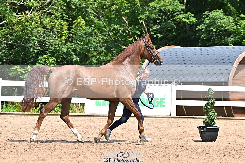 240718A-105256-01359 - Trot Up 12pm to 1pm