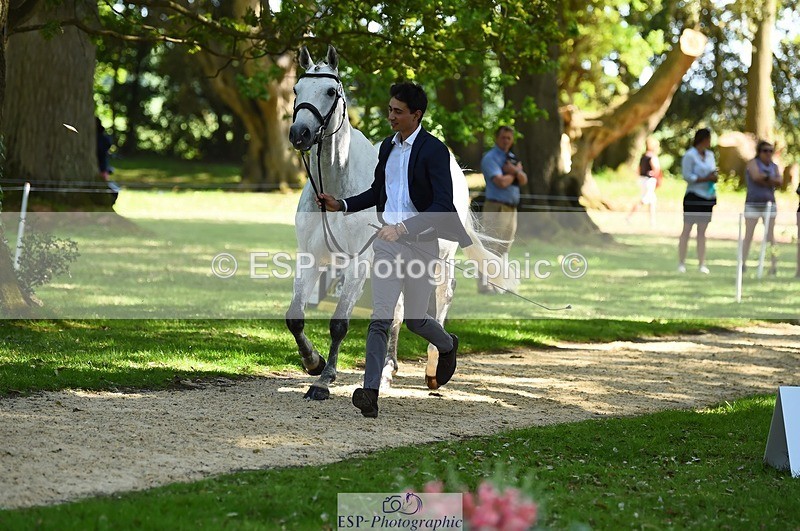 230524-153400-00357 - 359-LONG_BEACH-Giorgio_Nardilli-WEDTrotUp+DR