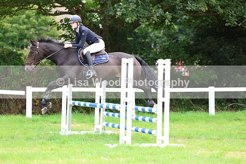 3E7A6980 - Class 5: Senior British Novice/90cm open