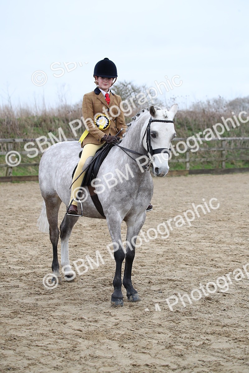 SBM_004687 - Class 5-9 - NPS In Hand-Show Hunter-Intermediate Ridden Inc Ridden Championship