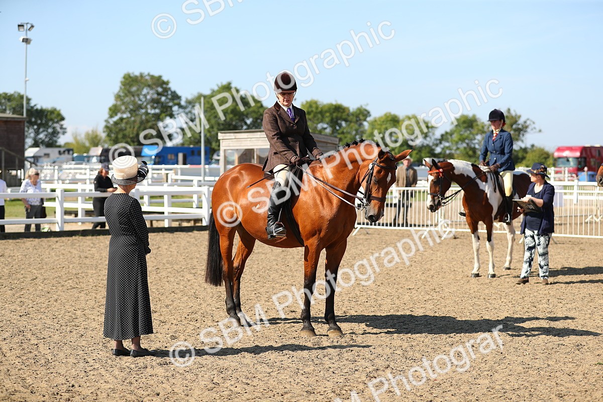 SBM_02264 - Class 43 Ridden Competition Horse/Pony