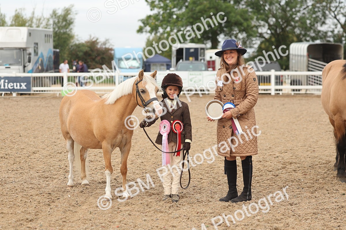 SBM_00608 - Class 13 Young Handler