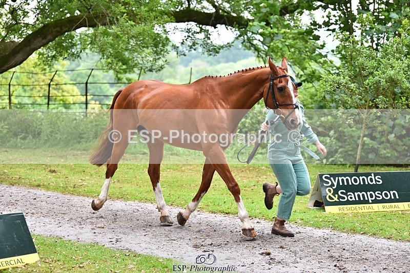 240522-171030-01437 - 251-MILESTONE_GOLD-Gaby_Bull