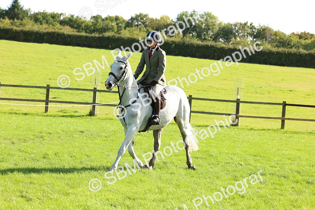 SBM_50127 - S34 - Novice & Newcomers Working Hunter