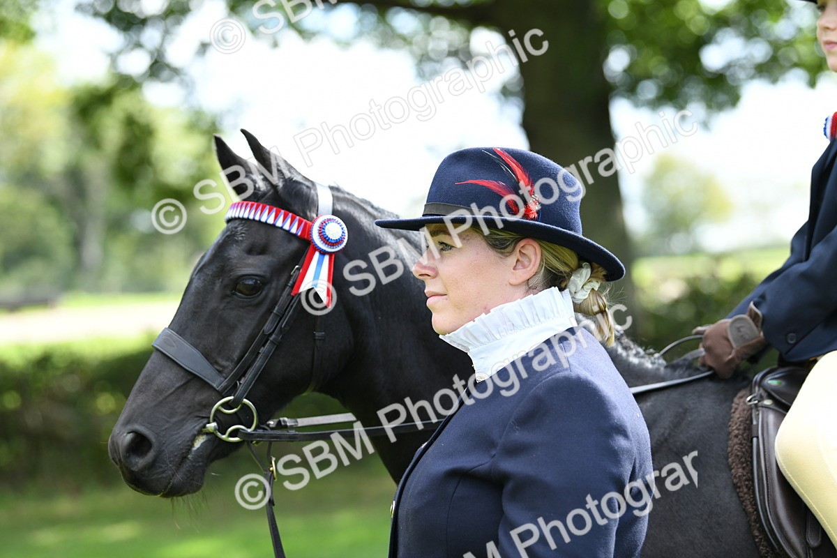 SBM_41193 - S19 - Lead Rein Show & Show Hunter Pony