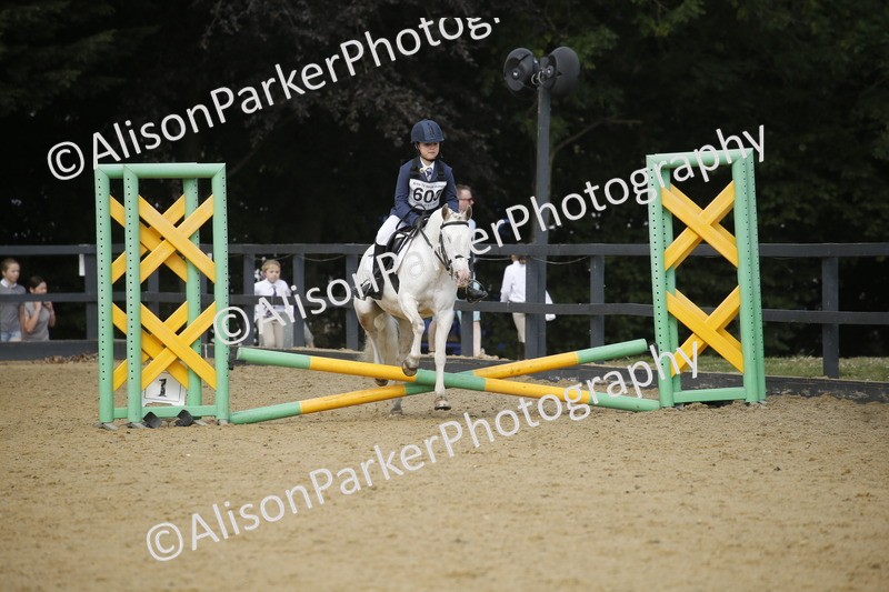 20250622-3600 - 50cm