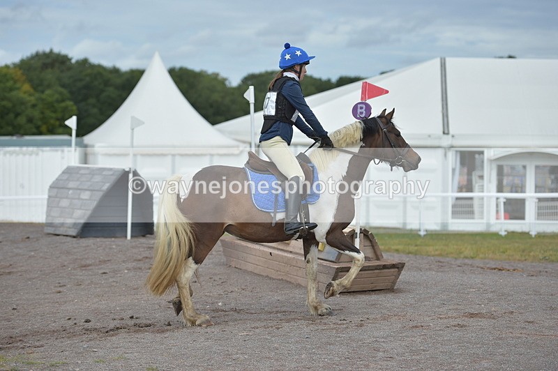 NGP_1365 - XC Time 10:38 to 10:51