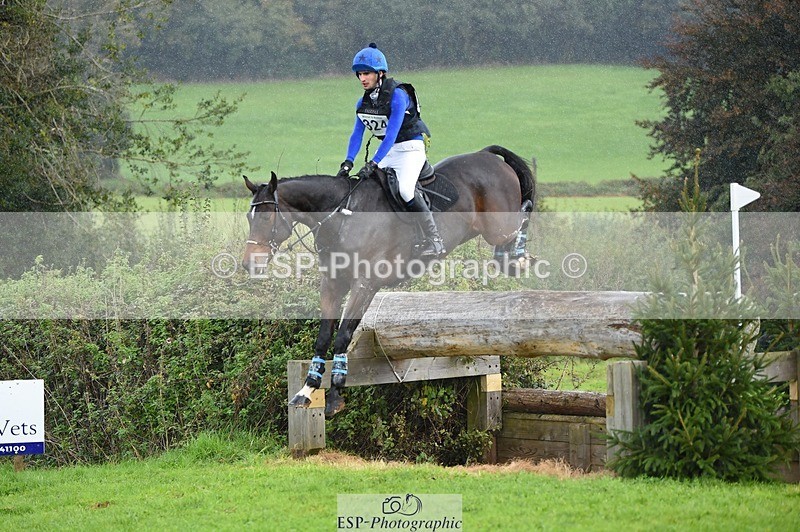 231022-132910-28458 - 324-HAZZLE.DAZZLE-Henry.Hobby-XC