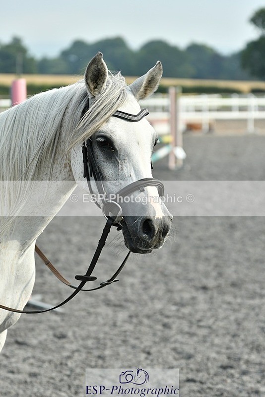 230817-094509-00243 - Theo's 1st Group - Arena