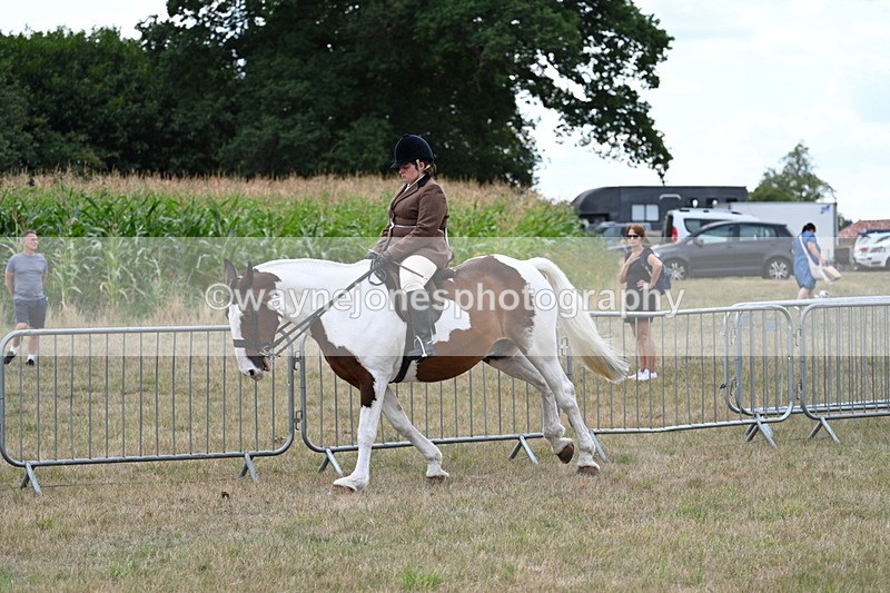 WJ7_5054 - Class 12 Ridden Cob