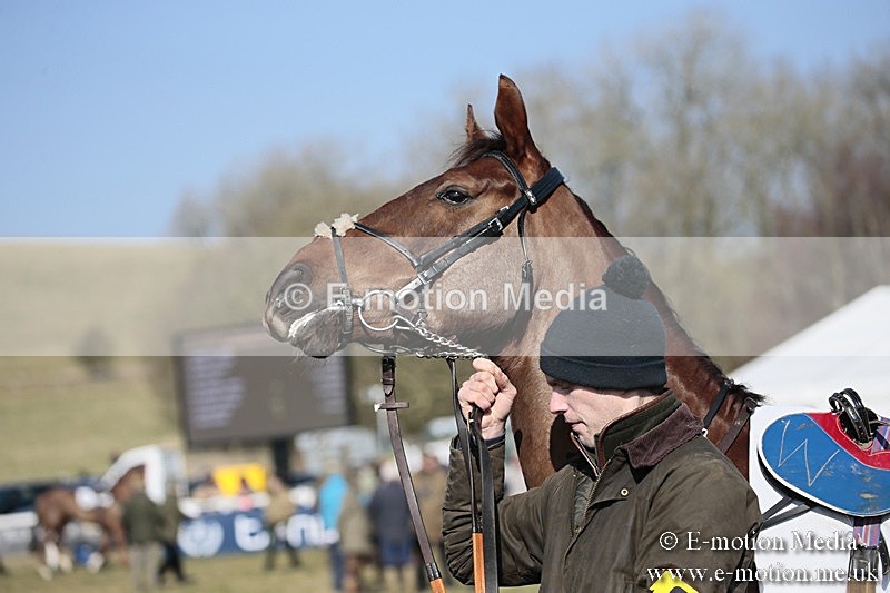 PtP 240218 118 - Vine & Craven Hunt Point-to-Point Barbury racecourse 24/02/18