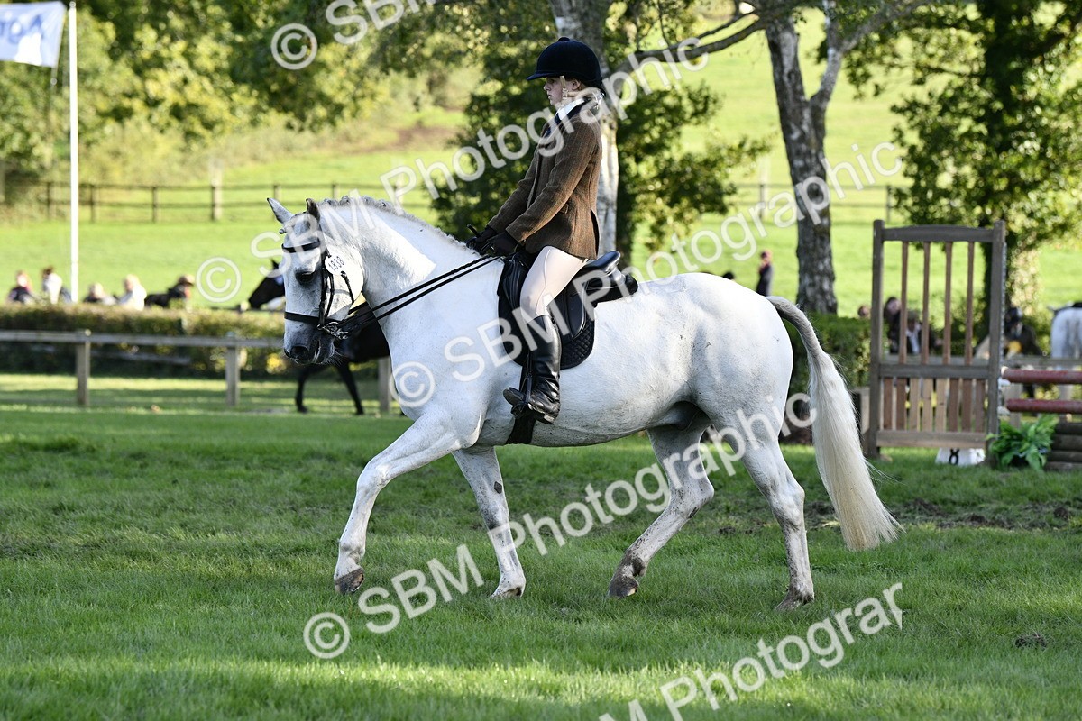 SBM_53515 - S14 - Riding Club Horse