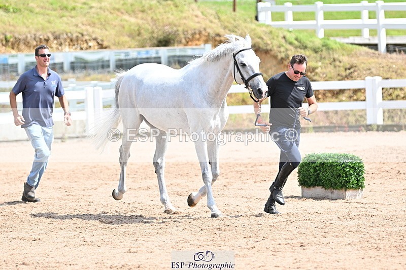 240717A-145407-02379 - Trot Up 2pm to 3pm - This folder is not in time order